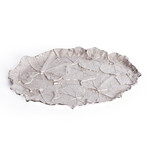 Блюдо Secret De Maison LEAF1 ( mod. 9376 ) алюминиевый сплав, 44x35x2,5 см, никель/nickel