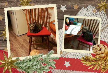 Стул обеденный 853 S (Дуб в красноту) в Ростове-на-Дону фото покупателя №1