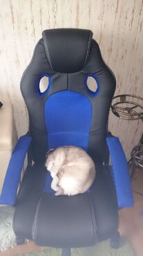 Кресло компьютерное «Рейсер» (Racer) (Искусственная черная кожа + синяя сетка) в Ростове-на-Дону фото покупателя №1