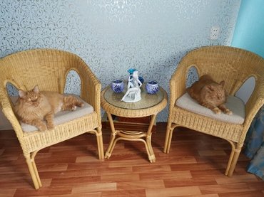 Стол из ротанга 02/08 (Мёд) в Ростове-на-Дону фото покупателя №1